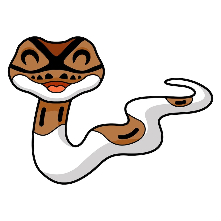 वेक्टर cute pied ball python cartoon
