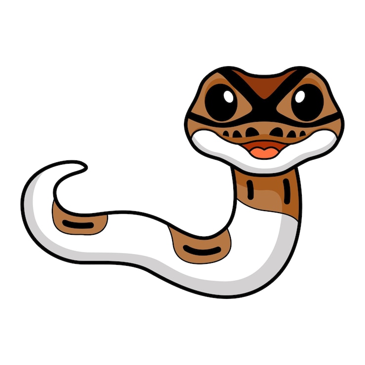 वेक्टर cute pied ball python cartoon