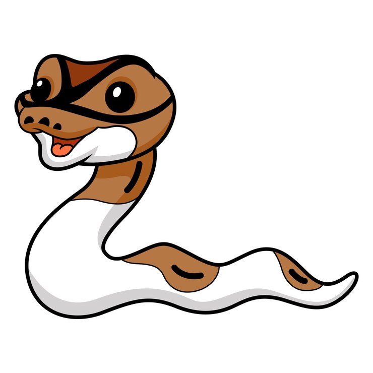 वेक्टर cute pied ball python cartoon