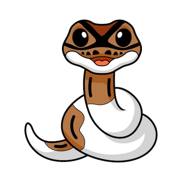 Cute pied ball python cartoon