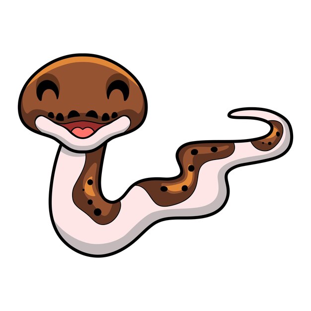 Cute pied reticulated python cartoon