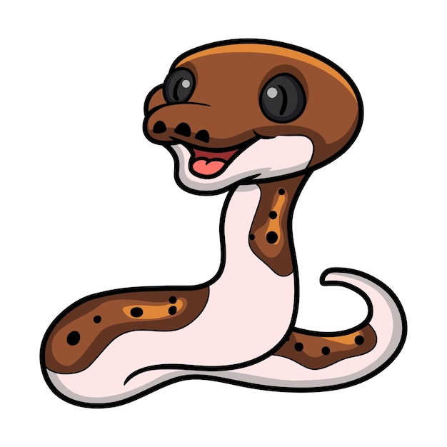 Cute pied reticulated python cartoon