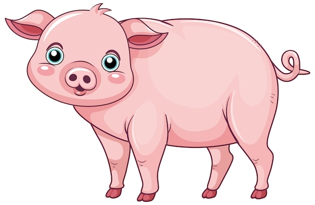 Cute pig cartoon character