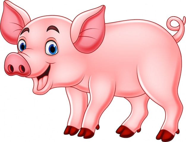 Cute pig cartoon