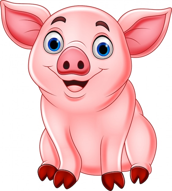 Cute pig cartoon