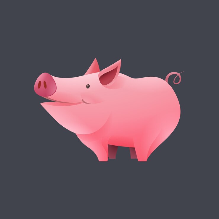 Vector cute pig illustration