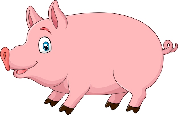 Vector cute pig isolated on white background