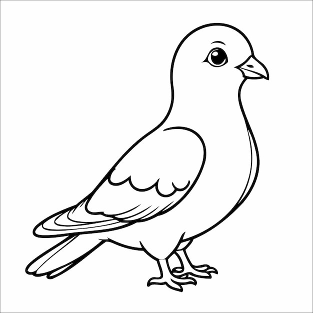 Cute Pigeon Coloring Page For Toddlers