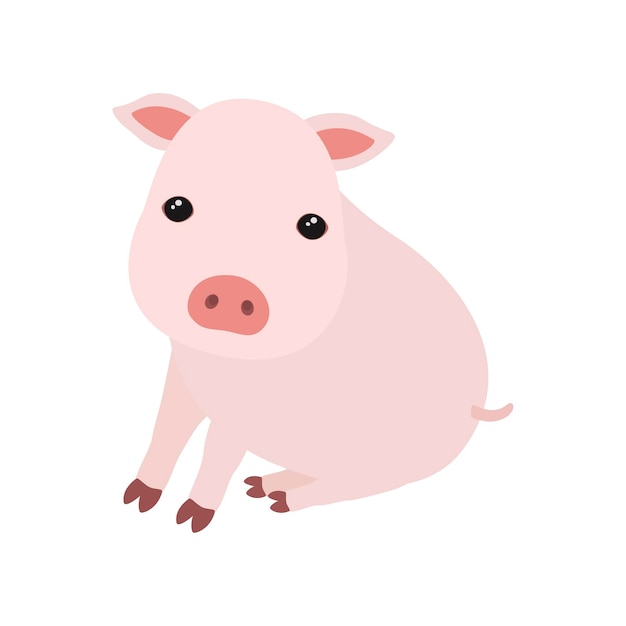 Cute piglet sitting illustration