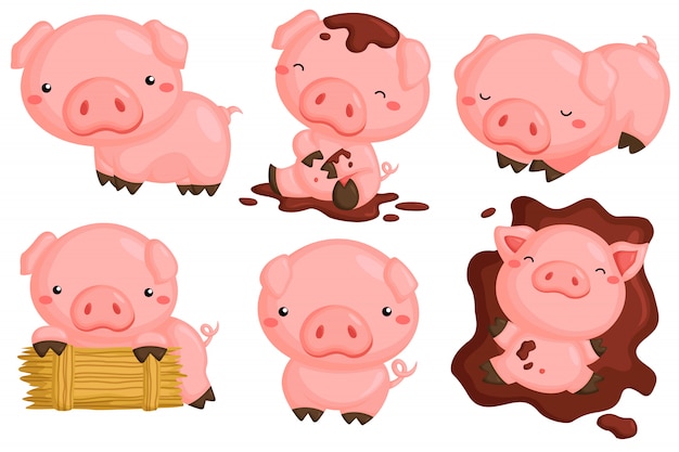 Симпатичные свиньи в различных действиях Векторный набор