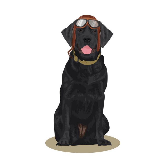 Cute pilot dog Illustration