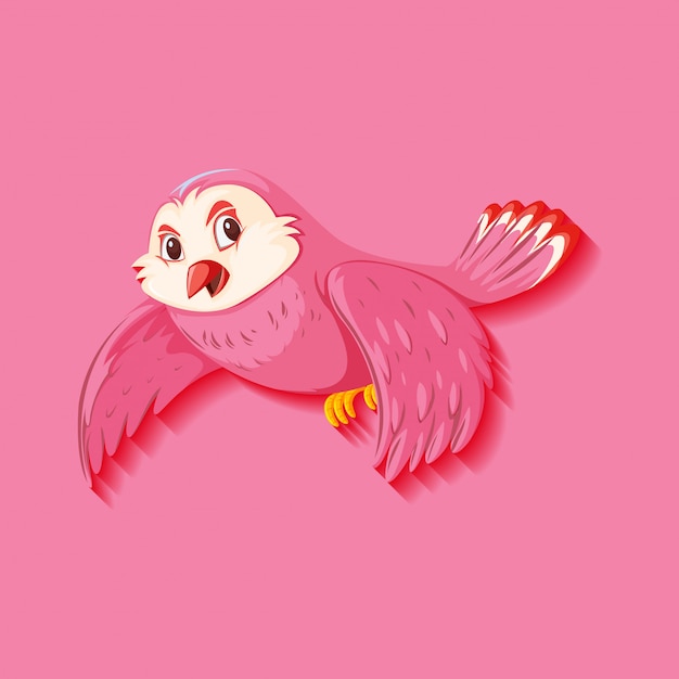 Cute pink bird cartoon character