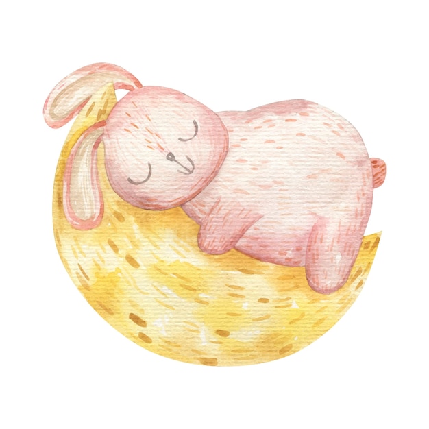 Милый розовый кот спит на луне акварелью детской иллюстрации