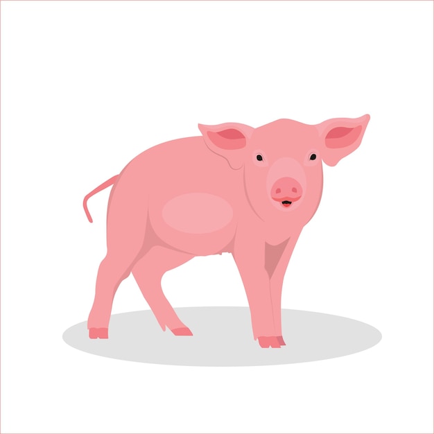 a cute pink pig cartoon with white background illustrator vector