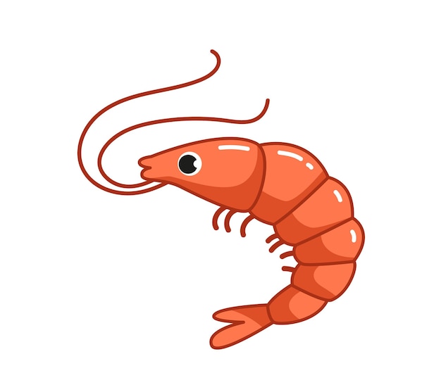 Premium Vector | Cute pink shrimp with a smile vector illustration in  cartoon childish style isolated funny clipart