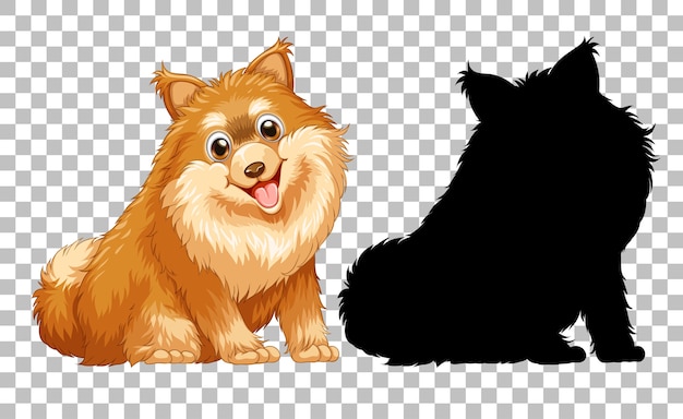 Cute pomeranian dog and its silhouette on transparent