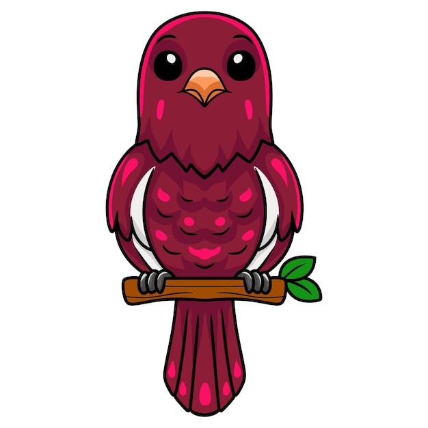 Cute pompadour cotinga bird cartoon on tree branch