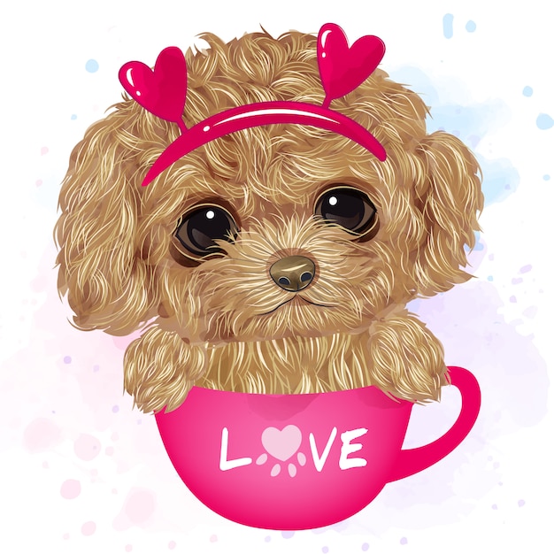 Vector cute poodle sitting inside the cup with watercolor