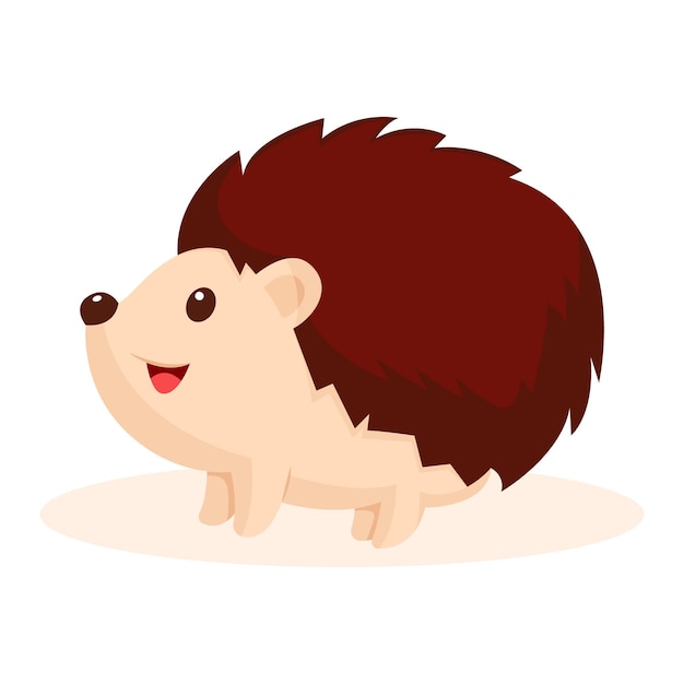 Cute Porcupine Character Design Illustration