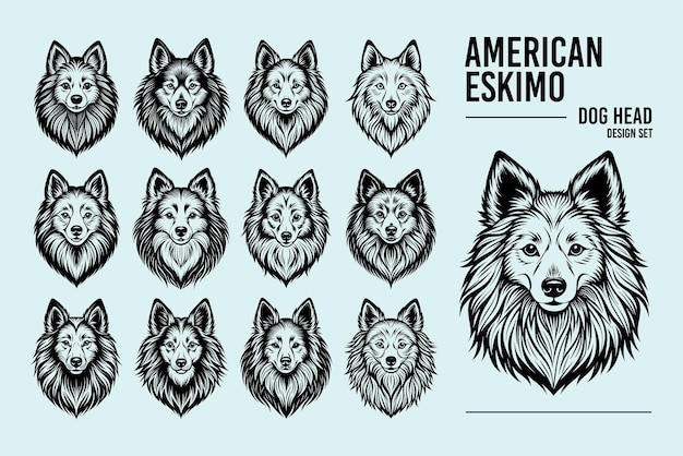 Vector cute portrait of american eskimo dog head illustration design set