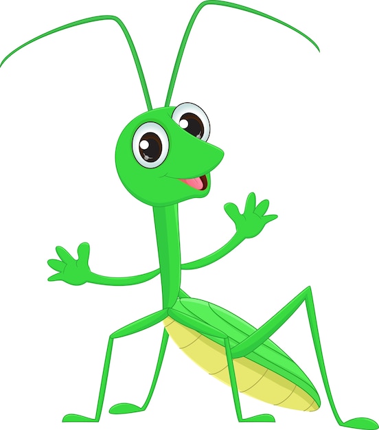 Vettore carino praying mantis cavalletta cartoon