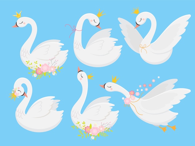 Vector cute princess swan