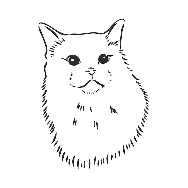 Vector cute print style cat background portrait of a cat vector sketch