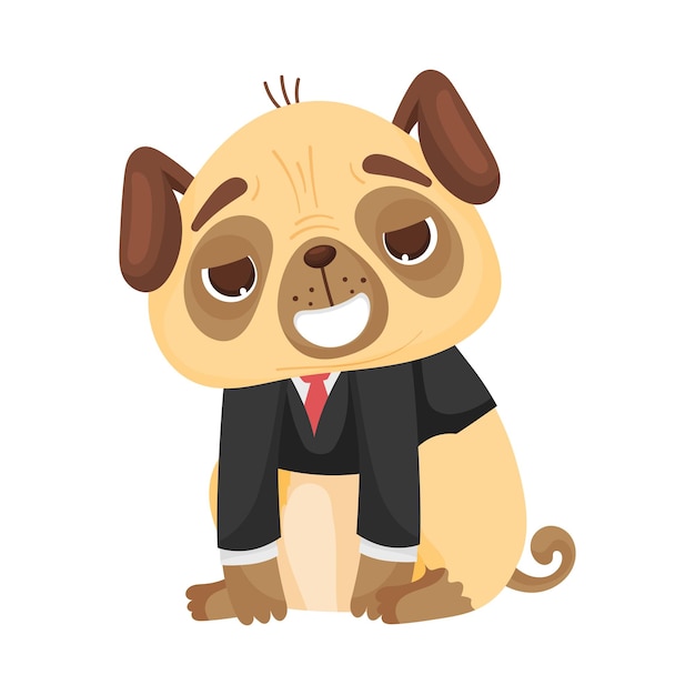 Cute pug in a classic black jacket white shirt and red tie vector illustration on white background