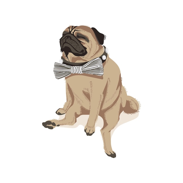 Vector cute pug dog in bow tie