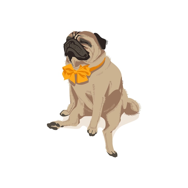 Cute pug dog in bow tie