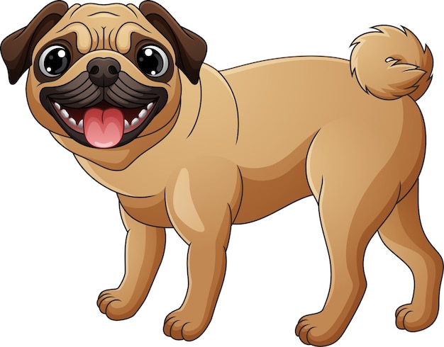 Vector cute pug dog cartoon isolated on white background