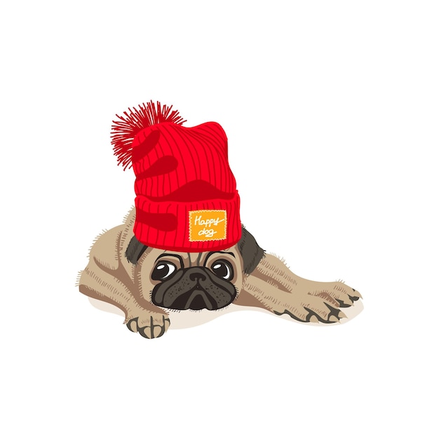 Cute pug dog in knitted hat