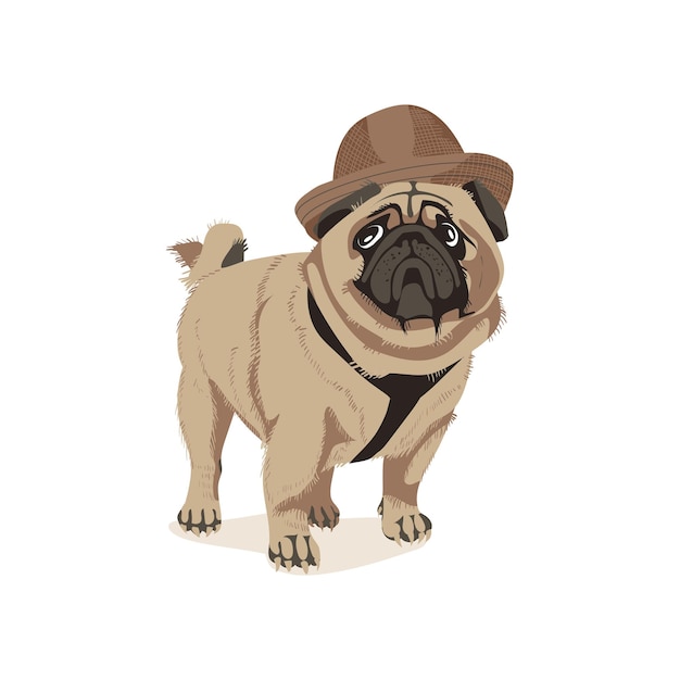 Vector cute pug dog pet in brown hat