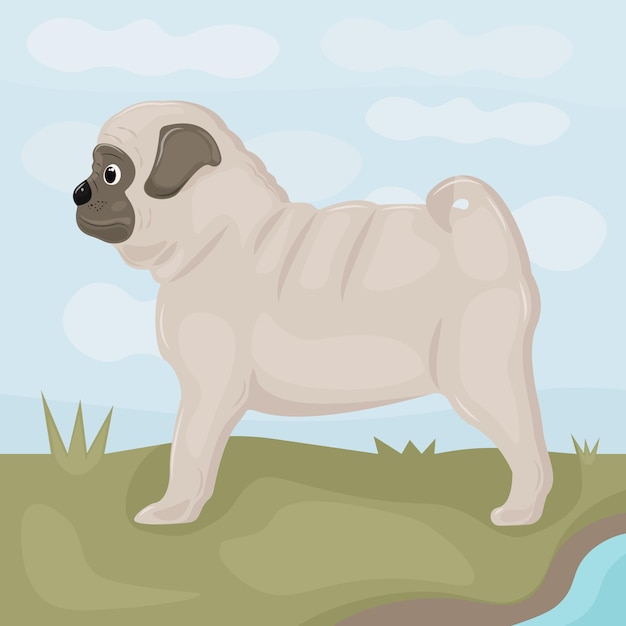 Cute pug puppy is standing on the grass near the stream. Pug on a background of blue sky and clouds. Baby dog vector illustration.