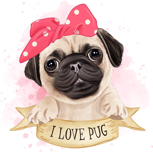 Vector cute pug watercolor