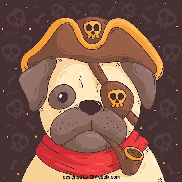 Cute pug with pirate costume