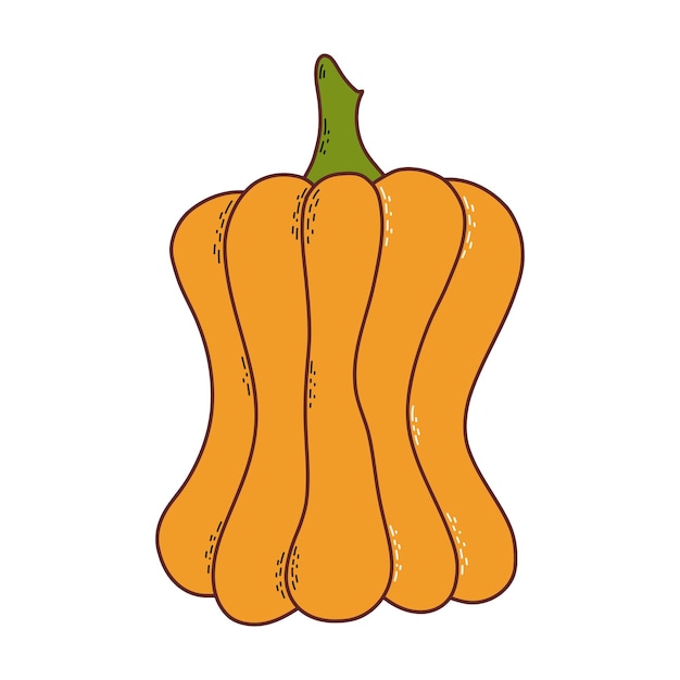 Carino zucca ringraziamento e elemento di halloween illustrazione vettoriale in stile disegnato a mano