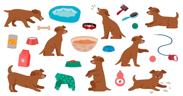 Vector cute puppies and pet products food toys bed set of caring dogs cute colorful elements