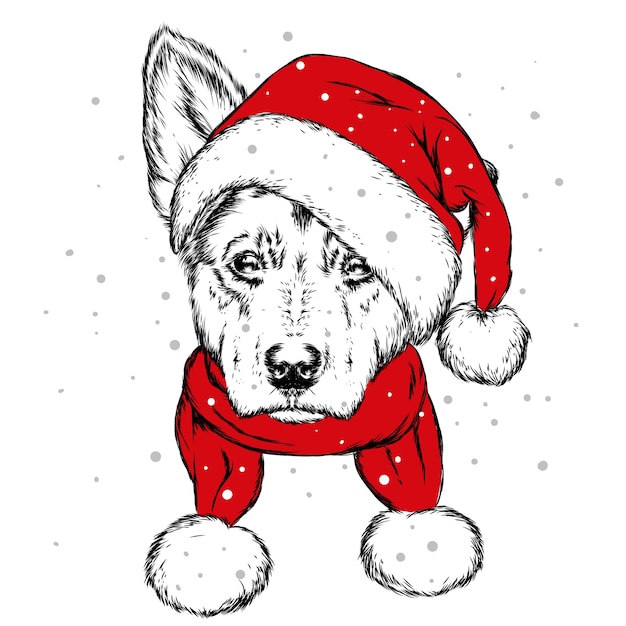 サンタクロースの帽子をかぶったかわいい子犬。元日とクリスマス。