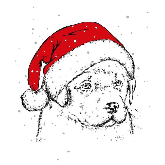 サンタクロースの帽子をかぶったかわいい子犬。