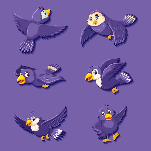 Vector cute purple bird cartoon character