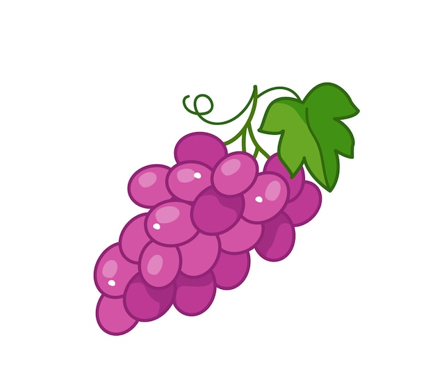 Cute purple grapes Vector illustration of a bunch of fruit grapes in a cartoon childish style