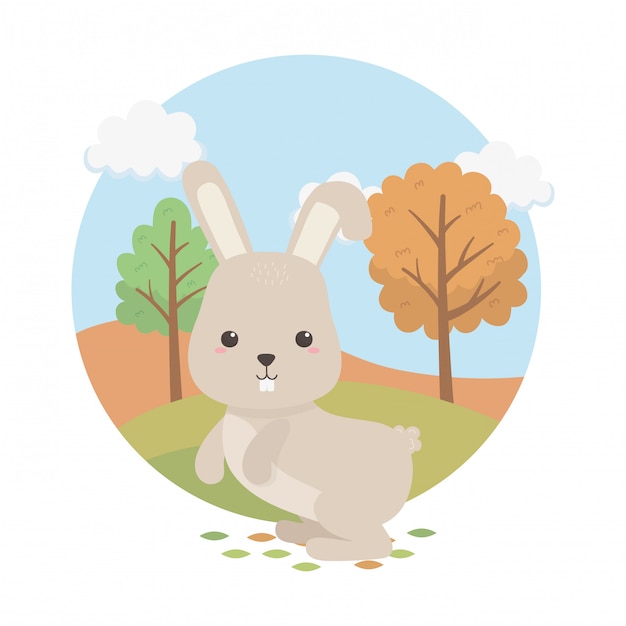 Cute rabbit animal farm character