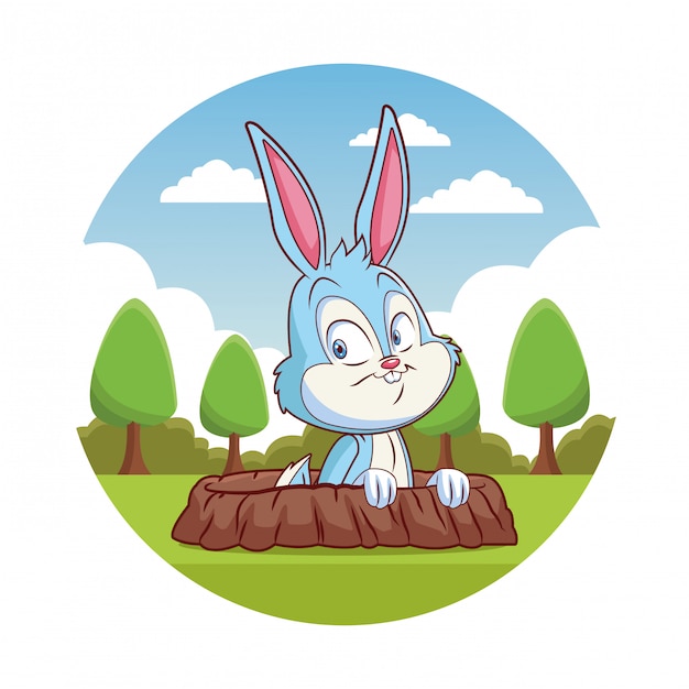 Cute rabbit cartoon