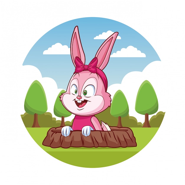 Cute rabbit cartoon