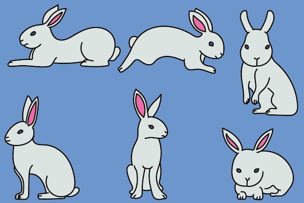 Cute rabbit character cartoon style