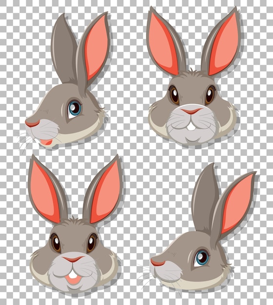 Cute rabbit on grid background