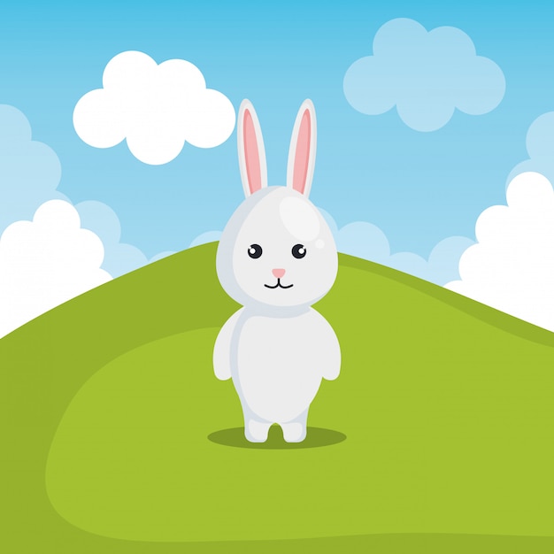 cute rabbit in landscape