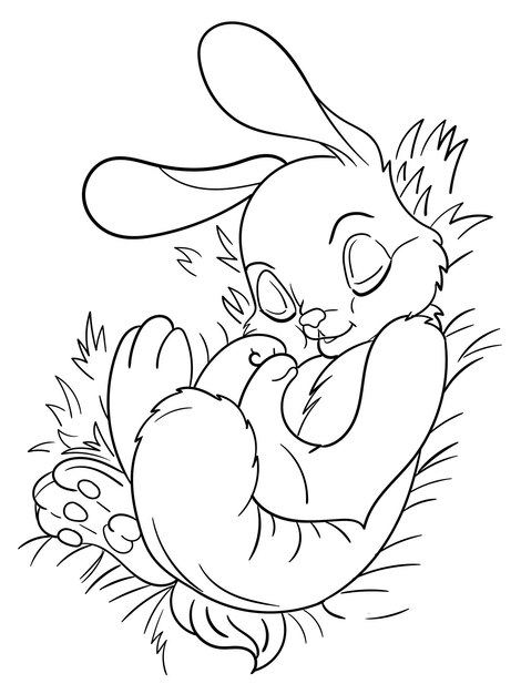 Cute rabbit outline illustration for coloring book.