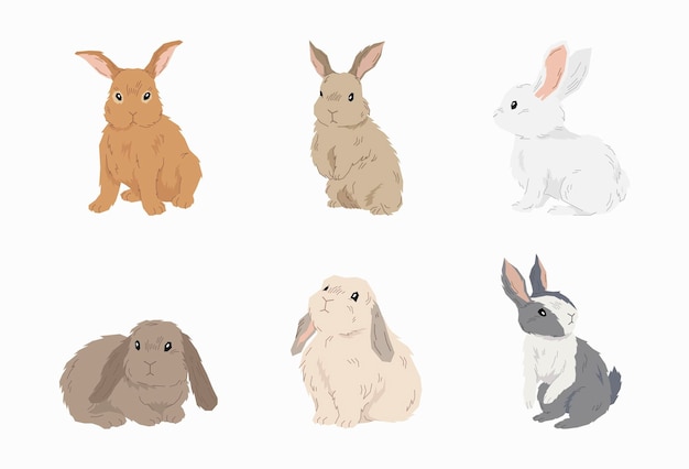 Cute Rabbit vector in flat design